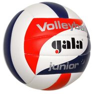  Волейбольный мяч Gala Junior BV5093S, фото 1 