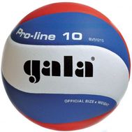  Волейбольный мяч Gala Pro-Line BV5121S, фото 1 