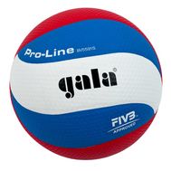  Волейбольный мяч Gala Pro-Line BV5591S, фото 1 