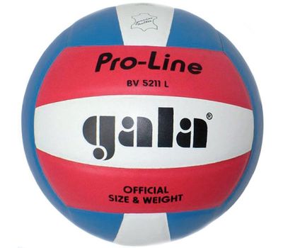  Волейбольный мяч Gala Pro-Line BV5211L, фото 1 