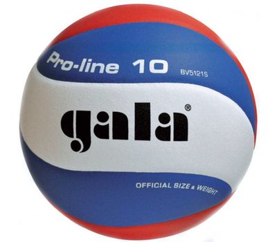 Волейбольный мяч Gala Pro-Line BV5121S, фото 1 