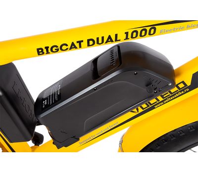  Велогибрид Wellness Bigcat Dual 1000, фото 8 