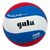  Волейбольный мяч Gala Pro-Line BV5591S, фото 1 