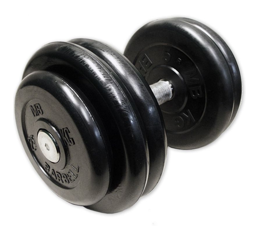 Штанга mb barbell. Гантель разборная MB Barbell MB-FDBM-st19 19 кг. 26 Кг гантель. Гантель DFC хромированная 6 кг. Гантель "профи", 26 кг.